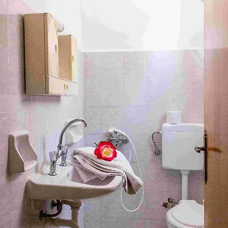 Savvas (adults Only)