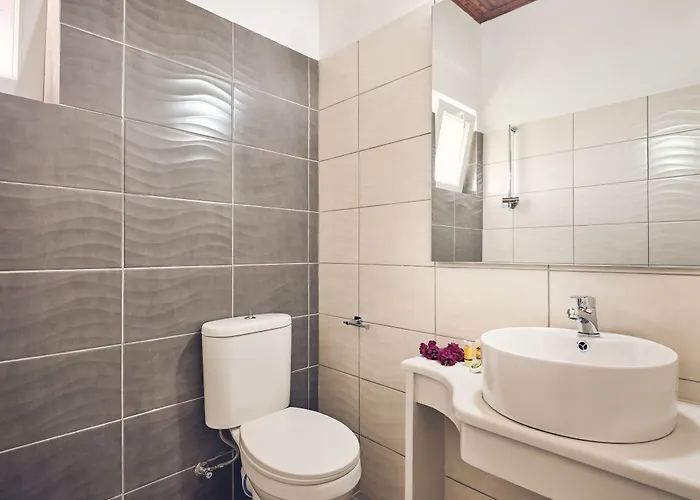 Savvas (adults Only)